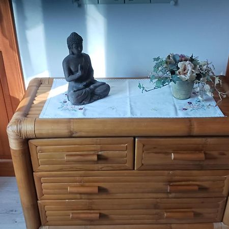 A LA JOIE DE VIVRE Chez l'habitant Banat Kültér fotó